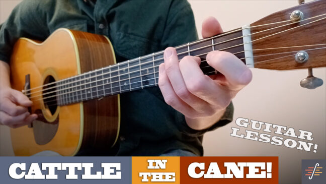 "Cattle in the Cane" - Tony Rice | Intermediate Guitar Lesson with TAB